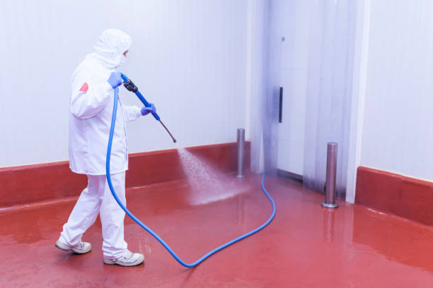 Best Sidewalk and Walkway Cleaning  in Santa Ynez, CA
